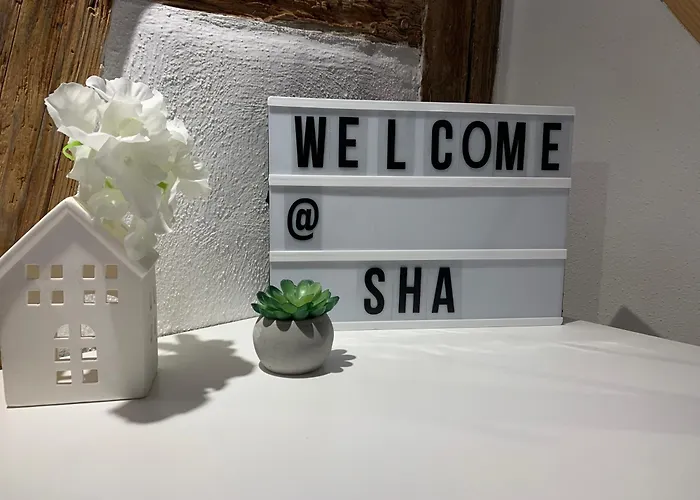 Zentrale Altbauwohnung Mit Flair